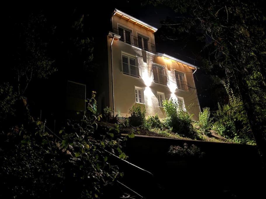 Zur Donauinsel Διαμέρισμα Bad Abbach Εξωτερικό φωτογραφία